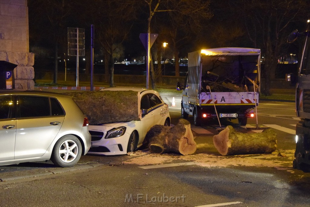 Baum auf PKWs Koeln Mitte Rheinuferstr Goldgasse P103.JPG - Miklos Laubert